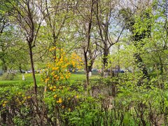 Drumul Taberei, Sibiu, AFI